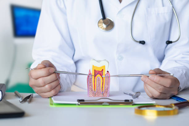 Best Emergency Root Canal Therapy in Albion, IN
